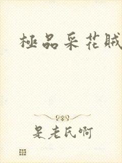 极品采花贼