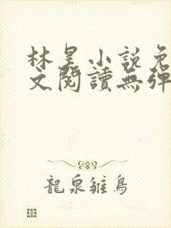 林昊小说免费全文阅读无弹窗