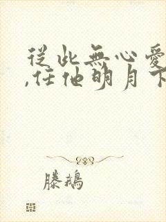 从此无心爱良夜,任他明月下封面