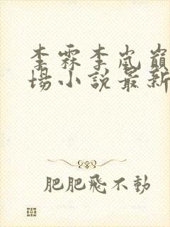 李霖李岚巅峰官场小说最新章节更新