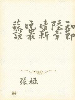 苏晚晴陆知衍小说最新章节更新内容封面