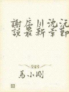 谢序川沈沅珠小说最新章节免费阅读封面