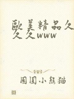 欧美精品久久久久久www