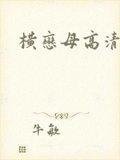 横恋母高清封面