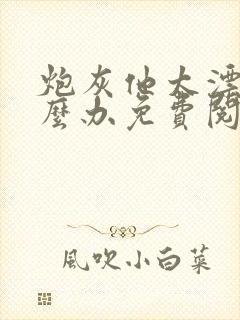 炮灰他太漂亮怎么办免费阅读