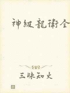 神级龙卫全集封面