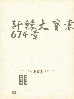 轩辕大宝袁雪妃674章