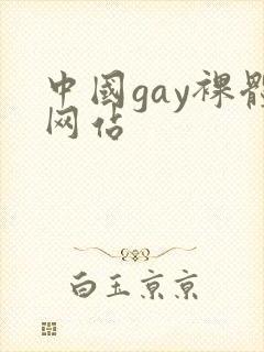 中国gay裸体网站
