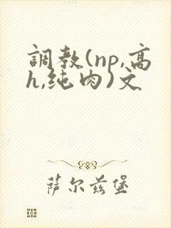 调教(np,高h,纯肉)文封面
