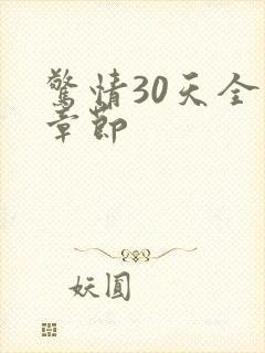 惊情30天全部章节