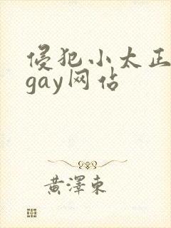 侵犯小太正裸体gay网站