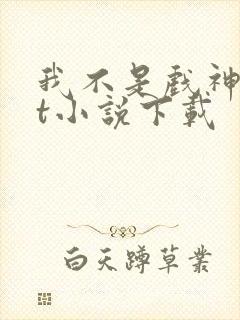 我不是戏神txt小说下载