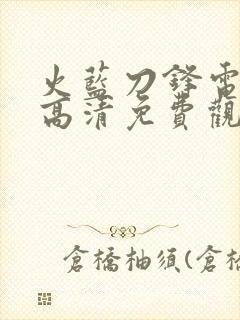 火蓝刀锋电视剧高清免费观看封面