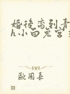 婚后脔到青梅哭h小白兔宫交h