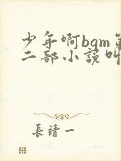 少年啊bgm第二部小说叫什么封面