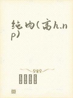 纯肉(高h.np)