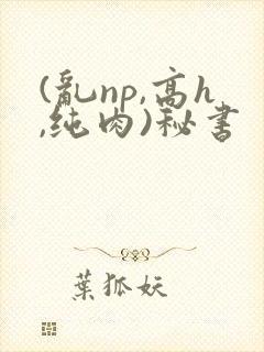 (乱np,高h,纯肉)秘书