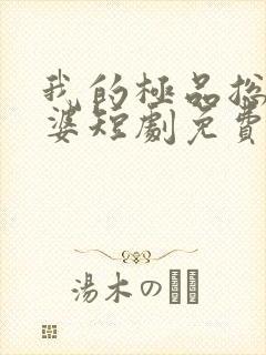 我的极品总裁老婆短剧免费完整版封面