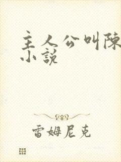 主人公叫陈平的小说