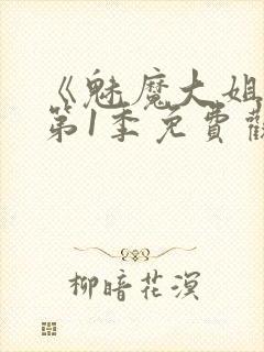 《魅魔大姐姐》第1季免费观看全集封面