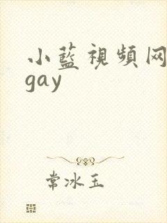 小蓝视频网页版gay