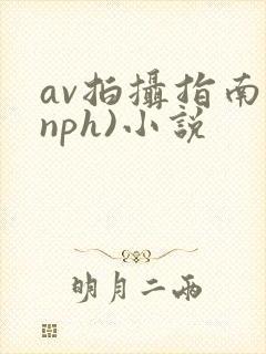 av拍摄指南(nph)小说