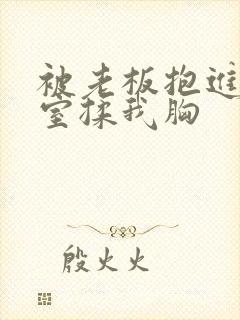 被老板抱进办公室揉我胸封面