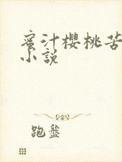 蜜汁樱桃苦咖啡小说封面