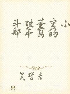 斗破苍穹小说是哪年写的封面