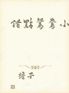 错点鸳鸯小说