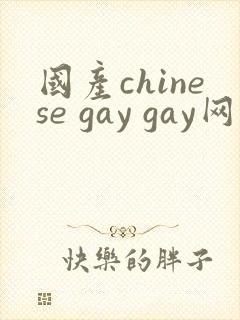 国产chinese gay gay网站