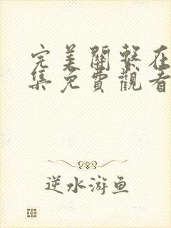 完美关系在线全集免费观看完整版