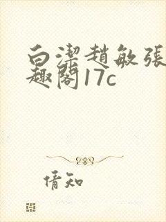 白洁赵敏张倩笔趣阁17c