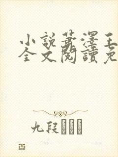 小说萧泽王雪凤全文阅读免费