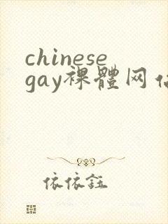 chinesegay裸体网站