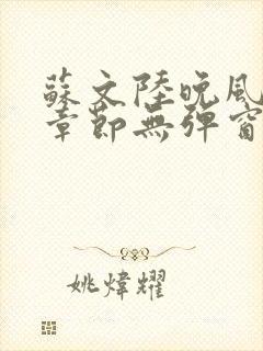 苏文陆晚风最新章节无弹窗笔趣阁