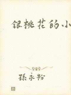 银桃花的小说封面