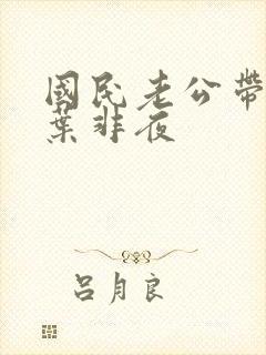 国民老公带回家叶非夜