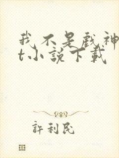 我不是戏神txt小说下载