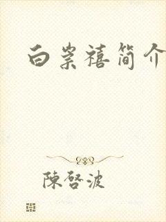 白崇禧简介封面