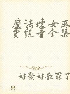 魔法坏女巫1免费观看全集封面