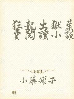 狂龙出狱叶风免费阅读小说