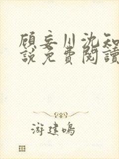 顾妄川沈知意小说免费阅读最新章节封面