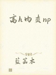 高h肉爽np