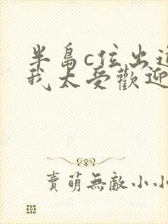 半岛c位出道的我太受欢迎笔趣阁