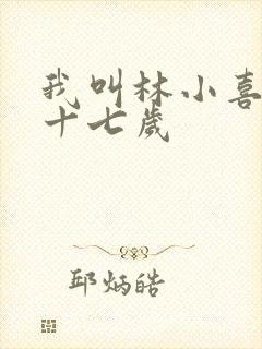 我叫林小喜今年十七岁封面