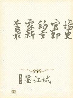 李霖的官场小说最新章节更新封面