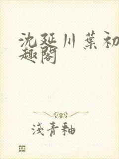 沈延川叶初棠笔趣阁