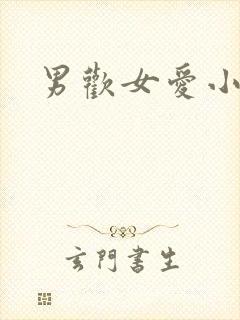 男欢女爱小说