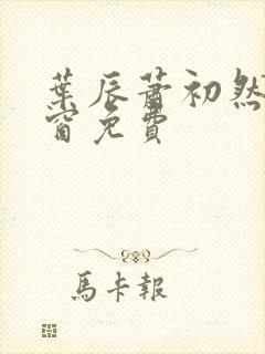 叶辰萧初然无弹窗免费封面